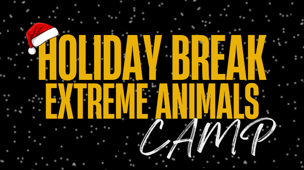 Holiday Break Extreme Animals Camp 