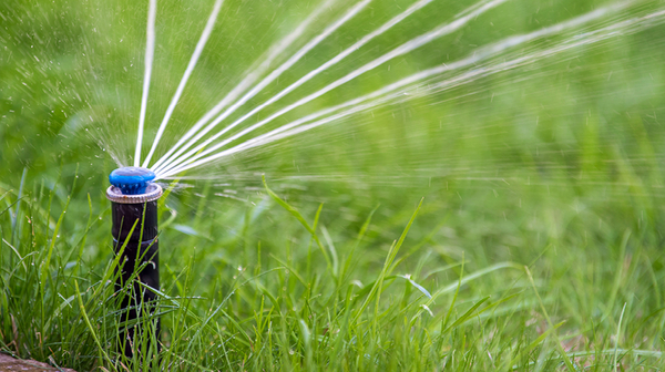 Water Rationing